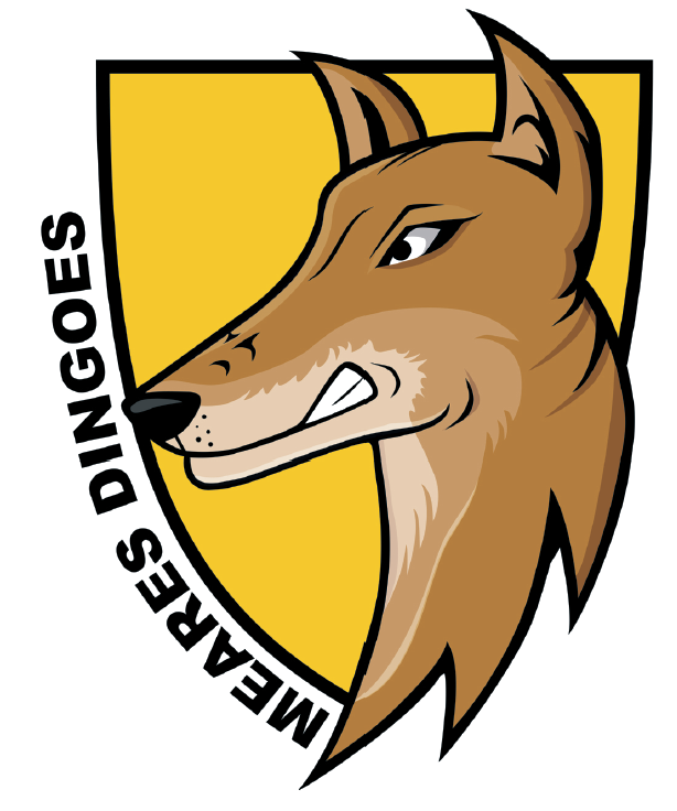 MEARES DINGOES.png